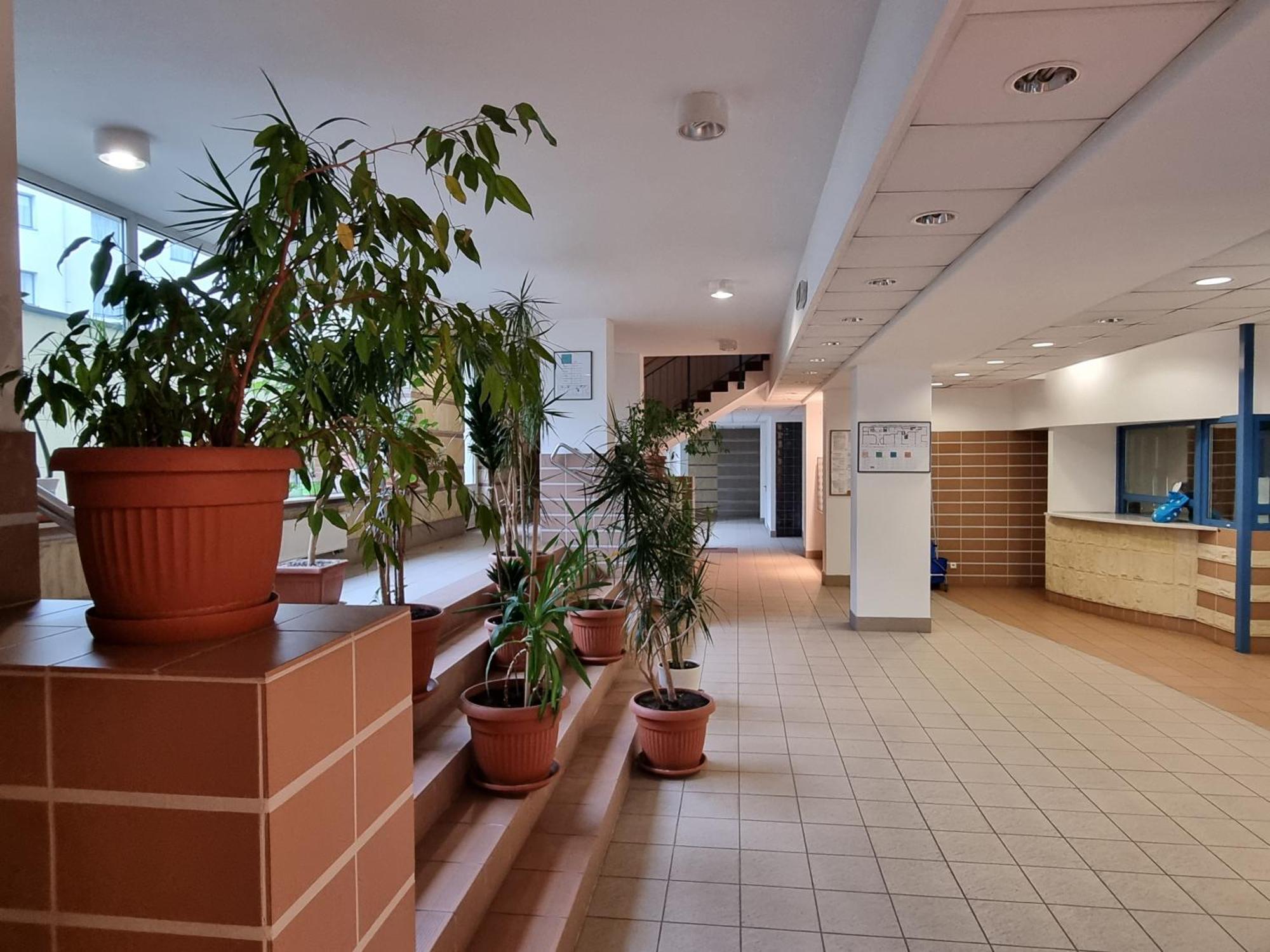 B & S - Free Garage Parking Apartment *